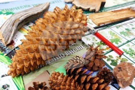 Седмица на гората - откриване