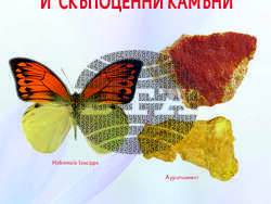 Снимка: Национален музей „Земята и хората“