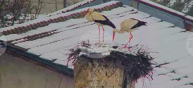 Основно училище „Гео Милев“ в село Белозем спечели свой химн в инициативата „Светилник“