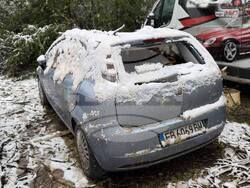 Пловдив - паднали дървета - район "Западен"