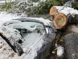 Пловдив - паднали дървета - район "Западен"