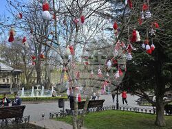 Снимки: БТА, Одеса