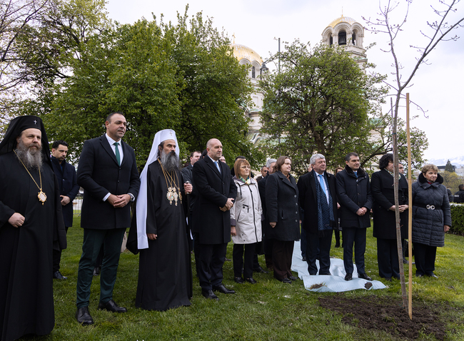 Държавният глава: Българската гора е ключов фактор в борбата с ерозията и за поддържането на водните запаси и обществото ни трябва да се противопостави на незаконните практики, които я унищожават
