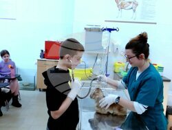 Снимка: Община Стара Загора