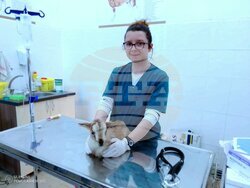 Снимка: Община Стара Загора