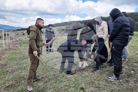 Брезник - Седмица на гората - залесяване