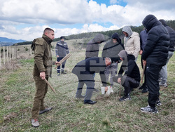 Брезник - Седмица на гората - залесяване