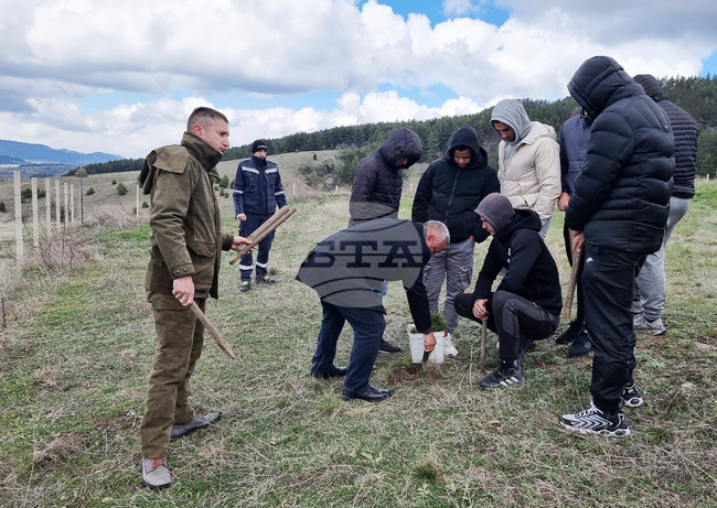 Брезник - Седмица на гората - залесяване