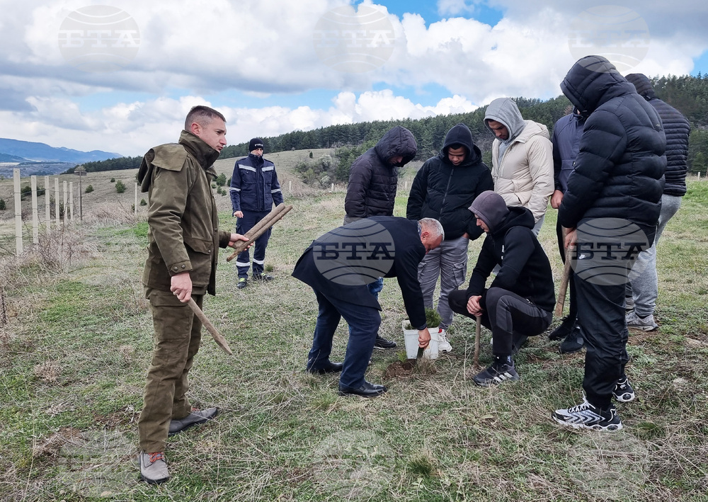 Брезник - Седмица на гората - залесяване