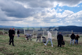 Брезник - Седмица на гората - залесяване