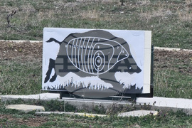 Брезник - Седмица на гората - залесяване