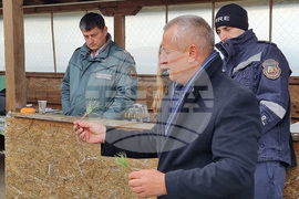 Брезник - Седмица на гората - залесяване