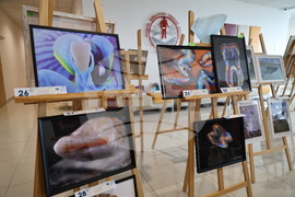 Пловдив - Медицински университет (МУ) - изложба