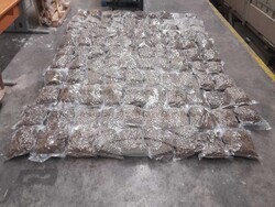 Снимка: Апелативна прокуратура – Пловдив - опит за контрабанда на 50 кг марихуана за 200 160 лева