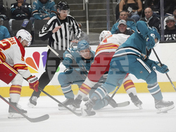 Flames Sharks Hockey