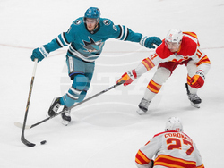 Flames Sharks Hockey