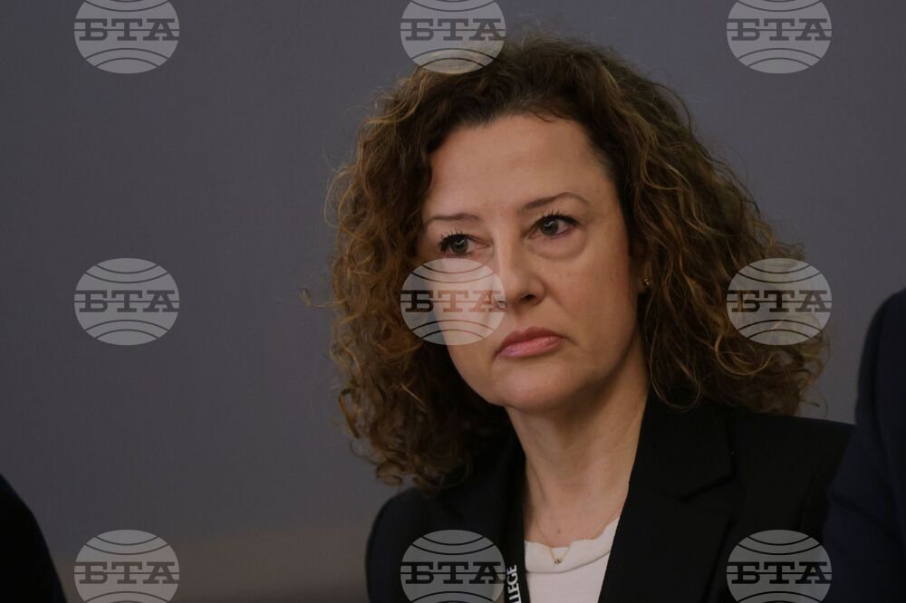 „Повишаване на националната устойчивост: напредък, предизвикателства и път напред“ - кръгла маса