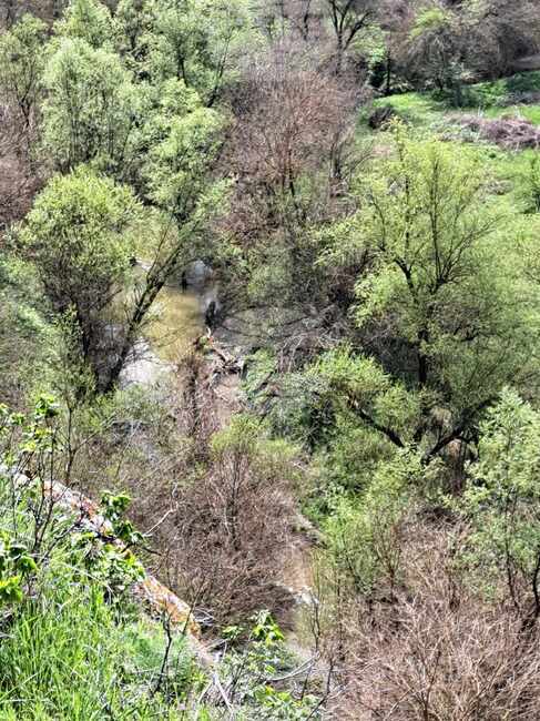 Повишени нива на амониев азот, нитрати и нитрити е установила екоинспекцията в река Черни Лом