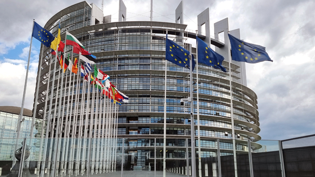EP's Foreign Affairs Committee Postpones Vote on North Macedonia's EU Integration Progress Report