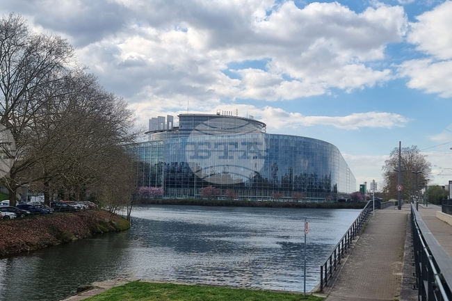 MEPs Call for EU Mission to Bulgaria over Blagomir Kotsev Case