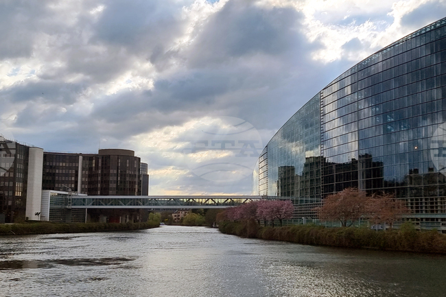 Bulgarian MEPs Drive EU Call on Serbia, Kosovo to Protect Bulgarian Minorities