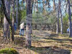 Кюстендил - лесопарк „Хисарлъка” - залесяване