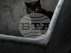 Изложбата "На тяхно място" на Владимир Карамазов се открива в Националната галерия "Двореца". Снимка: организаторите 