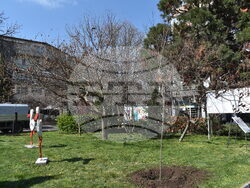 Снимка: Община Разград