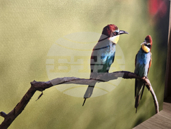 Петрич - Атанас Грозданов - изложба