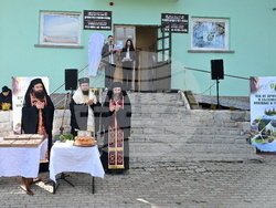Берковица - Седмица на гората - отбелязване
