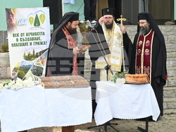 Берковица - Седмица на гората - отбелязване