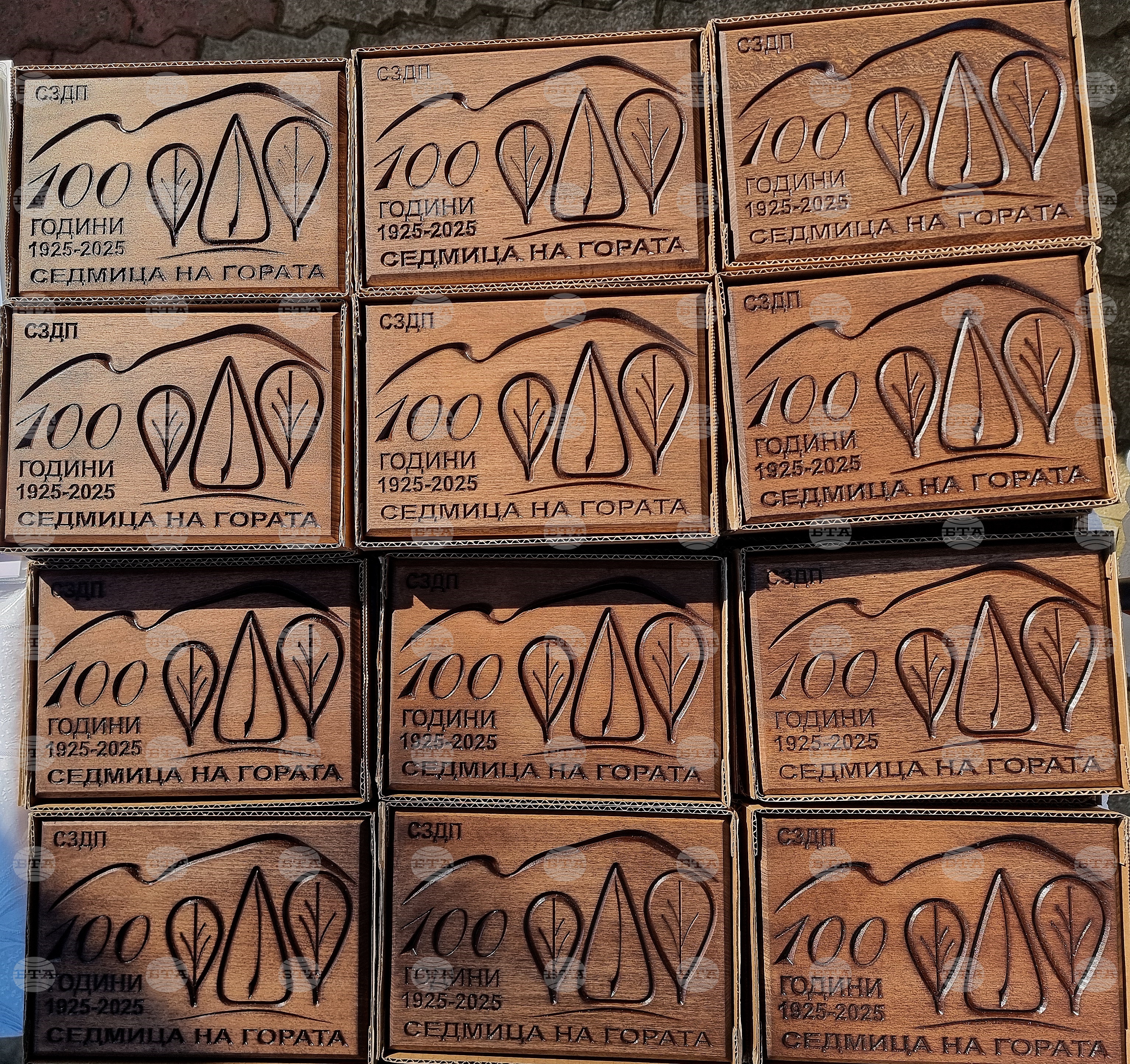 Берковица - Седмица на гората - отбелязване