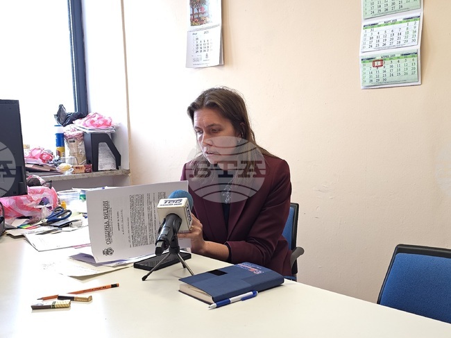 Община Видин започва процеса по обработка на детски площадки, паркове и тревни пространства срещу кърлежи и комари