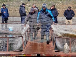 Язовир Кърджали - зарибяване