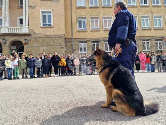 Полицията в Перник започна инициатива, свързана с хуманното отношение към животните