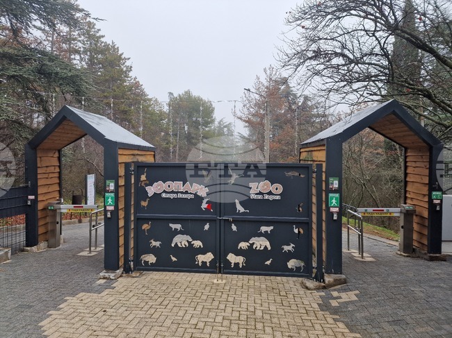 Тризначки еноти се родиха в зоопарка в Стара Загора, секретарят на Общината им стана кръстник