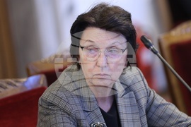 Народно събрание - Временна комисия - райски газ - заседание