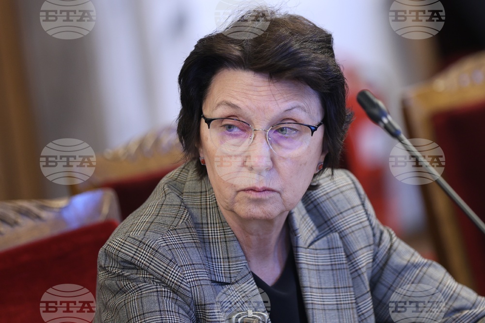 Народно събрание - Временна комисия - райски газ - заседание
