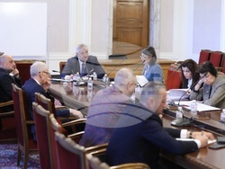 Народно събрание - Временна комисия - райски газ - заседание