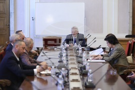 Народно събрание - Временна комисия - райски газ - заседание