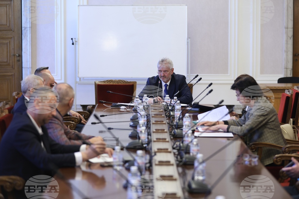 Народно събрание - Временна комисия - райски газ - заседание
