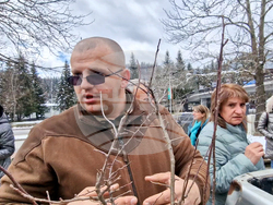 Смолян - фиданки - Седмица на гората