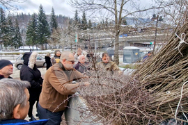 Смолян - фиданки - Седмица на гората