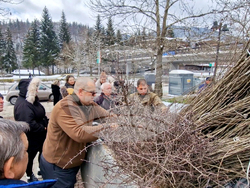 Смолян - фиданки - Седмица на гората