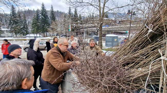 В Смолян ще раздават безплатни фиданки за Седмицата на гората