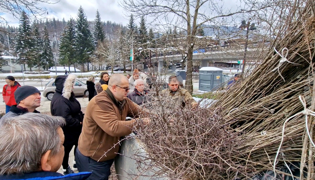 В Смолян ще раздават безплатни фиданки за Седмицата на гората