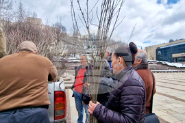 Смолян - фиданки - Седмица на гората