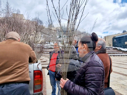 Смолян - фиданки - Седмица на гората