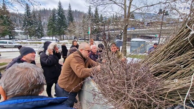 Десетки смолянчани получиха безплатни фиданки по случай Седмицата на гората