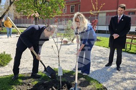 Пловдив - японски език - изучаване